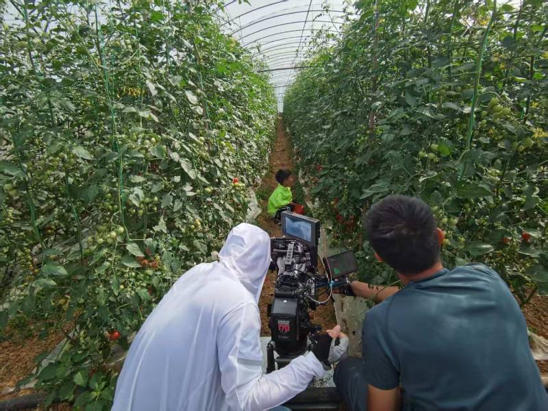 三沙产品宣传视频拍摄公司进阶指南，助力品牌抢占传播高地